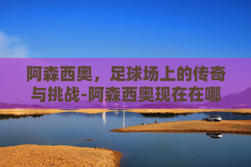 阿森西奥，足球场上的传奇与挑战-阿森西奥现在在哪个队