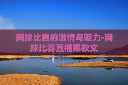 网球比赛的激情与魅力-网球比赛直播郑钦文