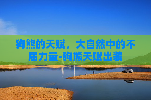 狗熊的天赋，大自然中的不屈力量-狗熊天赋出装