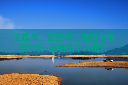 王增杰，在变革的浪潮中砥砺前行-王增杰个人简介