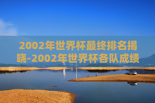 2002年世界杯最终排名揭晓-2002年世界杯各队成绩
