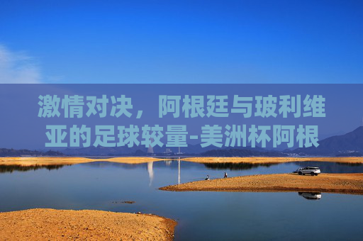 激情对决，阿根廷与玻利维亚的足球较量-美洲杯阿根廷vs玻利维亚