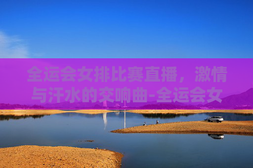 全运会女排比赛直播，激情与汗水的交响曲-全运会女排比赛直播视频在线观看