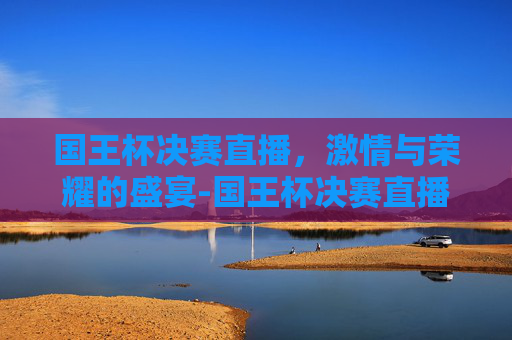 国王杯决赛直播，激情与荣耀的盛宴-国王杯决赛直播在线观看