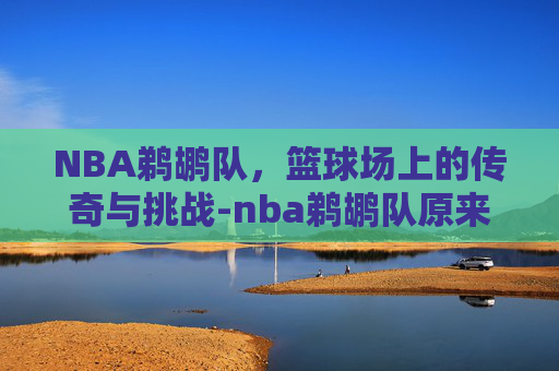 NBA鹈鹕队，篮球场上的传奇与挑战-nba鹈鹕队原来叫什么队