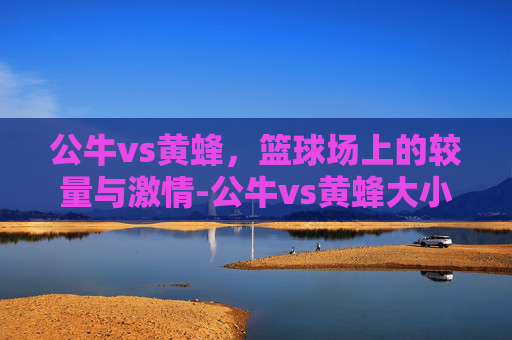 公牛vs黄蜂，篮球场上的较量与激情-公牛vs黄蜂大小分预测