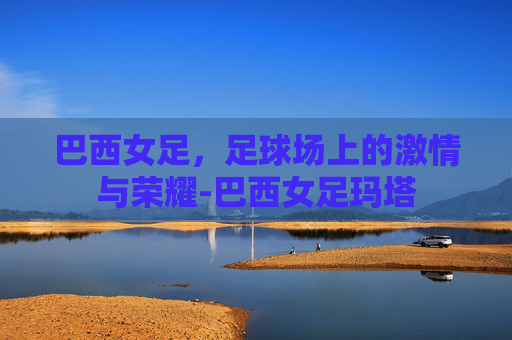 巴西女足，足球场上的激情与荣耀-巴西女足玛塔