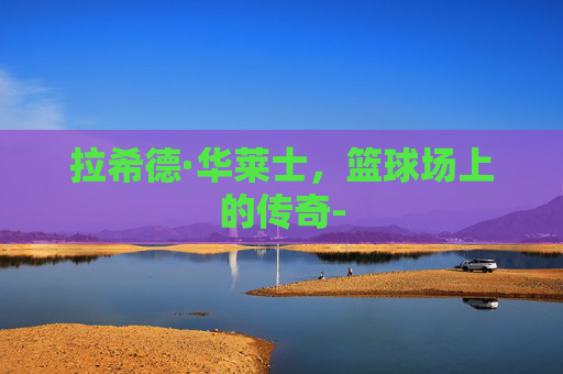 拉希德·华莱士，篮球场上的传奇-