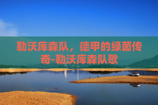 勒沃库森队，德甲的绿茵传奇-勒沃库森队歌