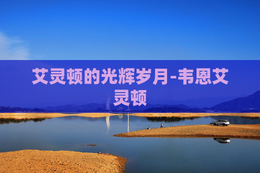艾灵顿的光辉岁月-韦恩艾灵顿
