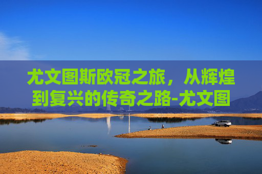 尤文图斯欧冠之旅，从辉煌到复兴的传奇之路-尤文图斯欧冠战绩