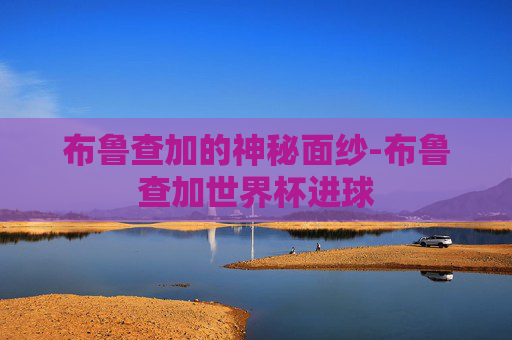 布鲁查加的神秘面纱-布鲁查加世界杯进球