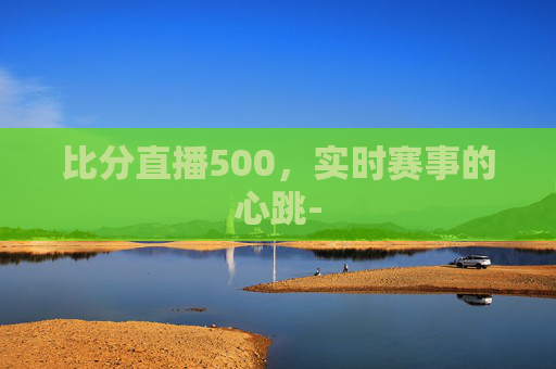比分直播500，实时赛事的心跳-