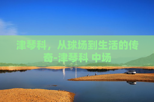 津琴科，从球场到生活的传奇-津琴科 中场