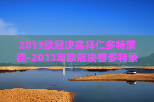2013欧冠决赛拜仁多特蒙德-2013年欧冠决赛多特蒙德阵容
