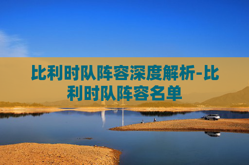 比利时队阵容深度解析-比利时队阵容名单