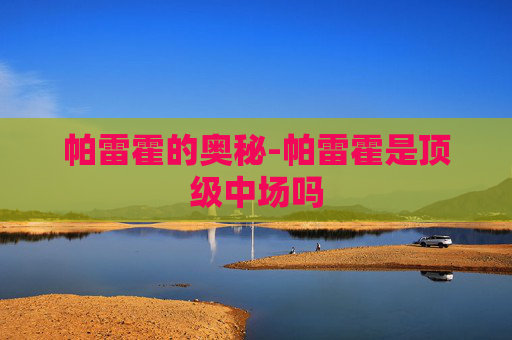 帕雷霍的奥秘-帕雷霍是顶级中场吗