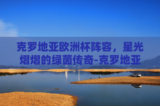 克罗地亚欧洲杯阵容，星光熠熠的绿茵传奇-克罗地亚欧洲杯阵容图