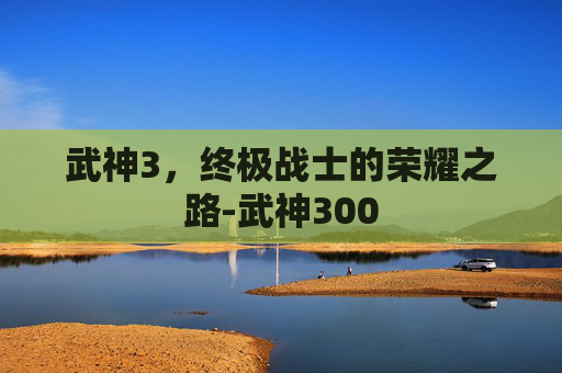 武神3，终极战士的荣耀之路-武神300