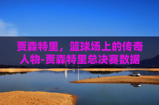 贾森特里，篮球场上的传奇人物-贾森特里总决赛数据