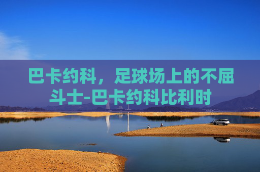 巴卡约科，足球场上的不屈斗士-巴卡约科比利时