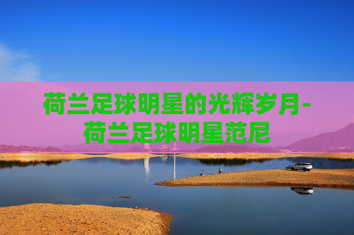 荷兰足球明星的光辉岁月-荷兰足球明星范尼