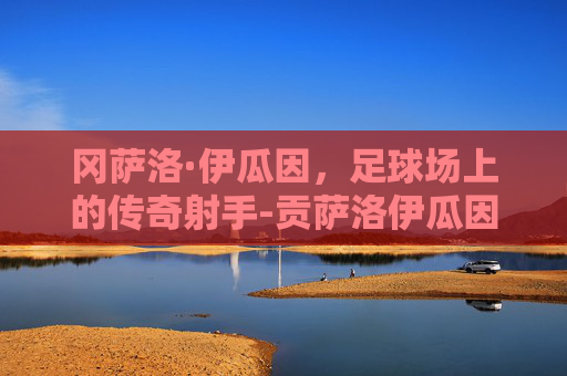 冈萨洛·伊瓜因，足球场上的传奇射手-贡萨洛伊瓜因