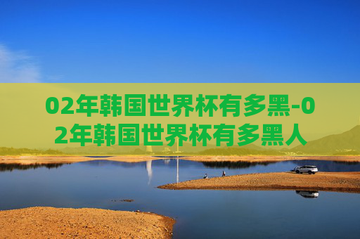 02年韩国世界杯有多黑-02年韩国世界杯有多黑人