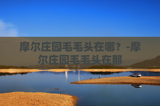 摩尔庄园毛毛头在哪？-摩尔庄园毛毛头在那