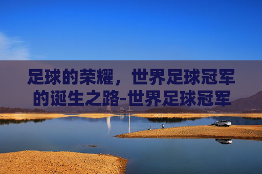 足球的荣耀，世界足球冠军的诞生之路-世界足球冠军游戏