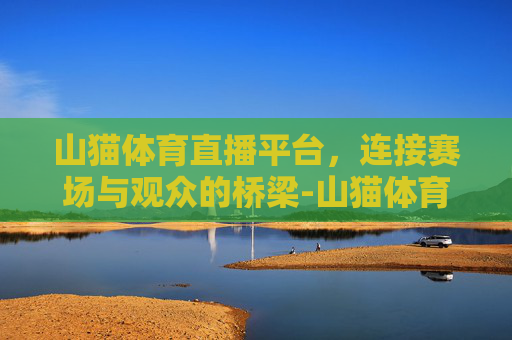 山猫体育直播平台，连接赛场与观众的桥梁-山猫体育直播平台高清