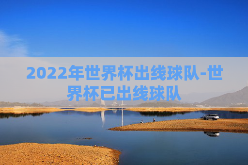 2022年世界杯出线球队-世界杯已出线球队