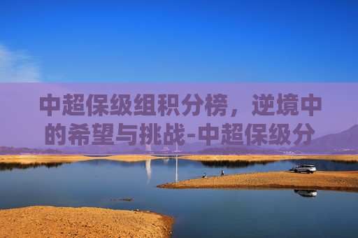 中超保级组积分榜，逆境中的希望与挑战-中超保级分数