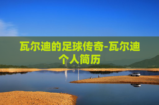瓦尔迪的足球传奇-瓦尔迪个人简历