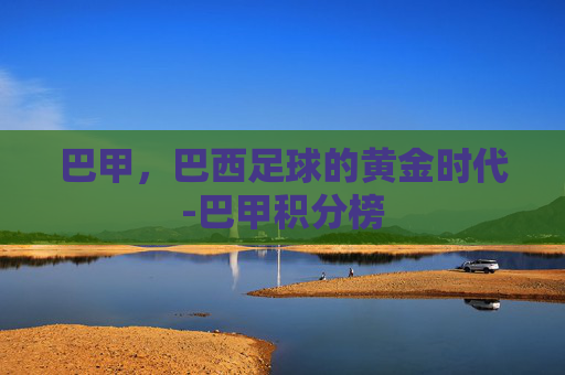 巴甲，巴西足球的黄金时代-巴甲积分榜