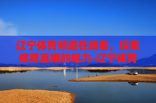 辽宁体育频道在线看，探索体育直播的魅力-辽宁体育频道在线看斗地主