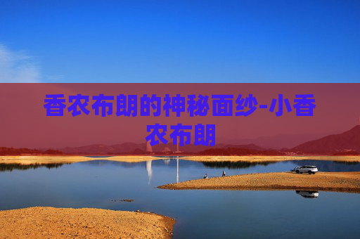 香农布朗的神秘面纱-小香农布朗