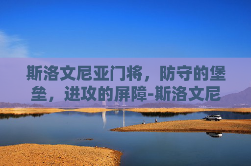 斯洛文尼亚门将，防守的堡垒，进攻的屏障-斯洛文尼亚 门将