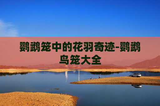 鹦鹉笼中的花羽奇迹-鹦鹉鸟笼大全