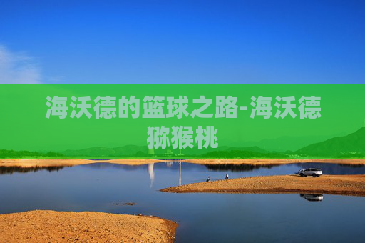 海沃德的篮球之路-海沃德猕猴桃