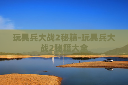 玩具兵大战2秘籍-玩具兵大战2秘籍大全